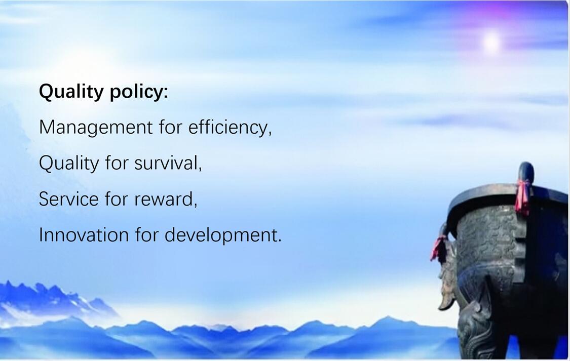 Company Profile Video